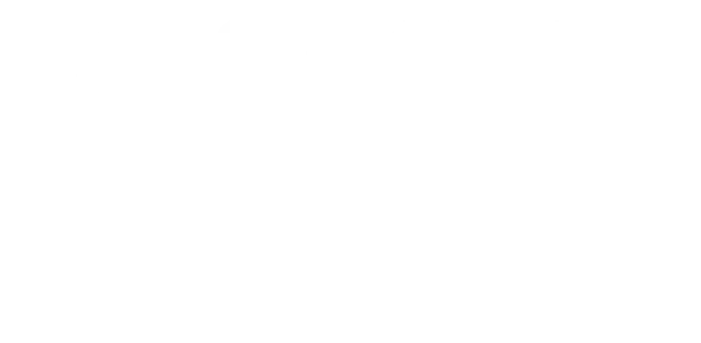 National Professional Advisory Committee updates for 2026